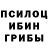 Галлюциногенные грибы Psilocybine cubensis himank957