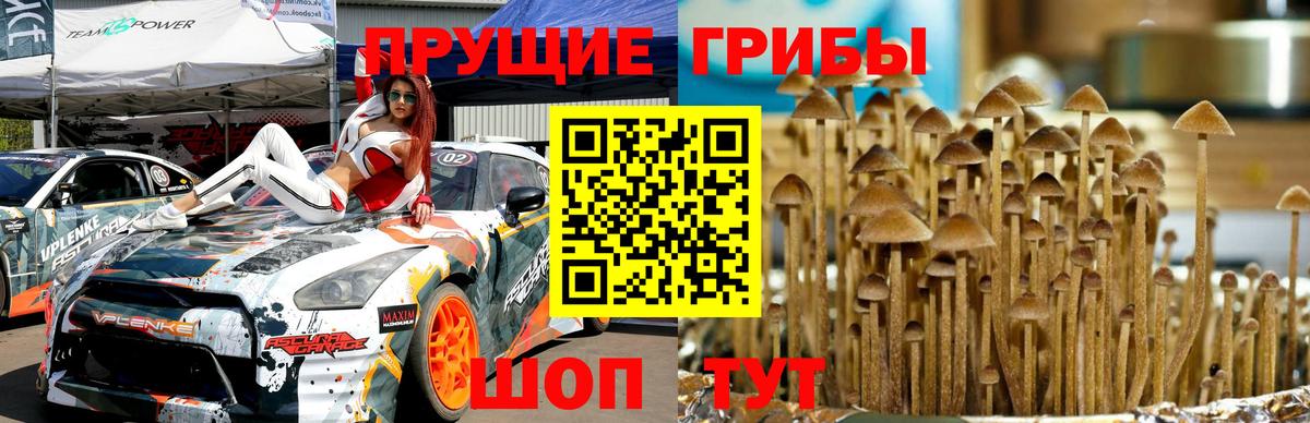 Красный Сулин  Псилоцибиновые грибы ЛСД  Вход с VPN 